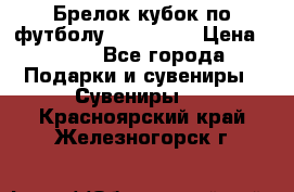 Брелок кубок по футболу Fifa 2018 › Цена ­ 399 - Все города Подарки и сувениры » Сувениры   . Красноярский край,Железногорск г.